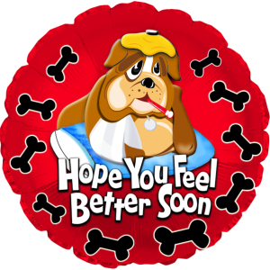 Feel Better Bulldog 18" Pkg