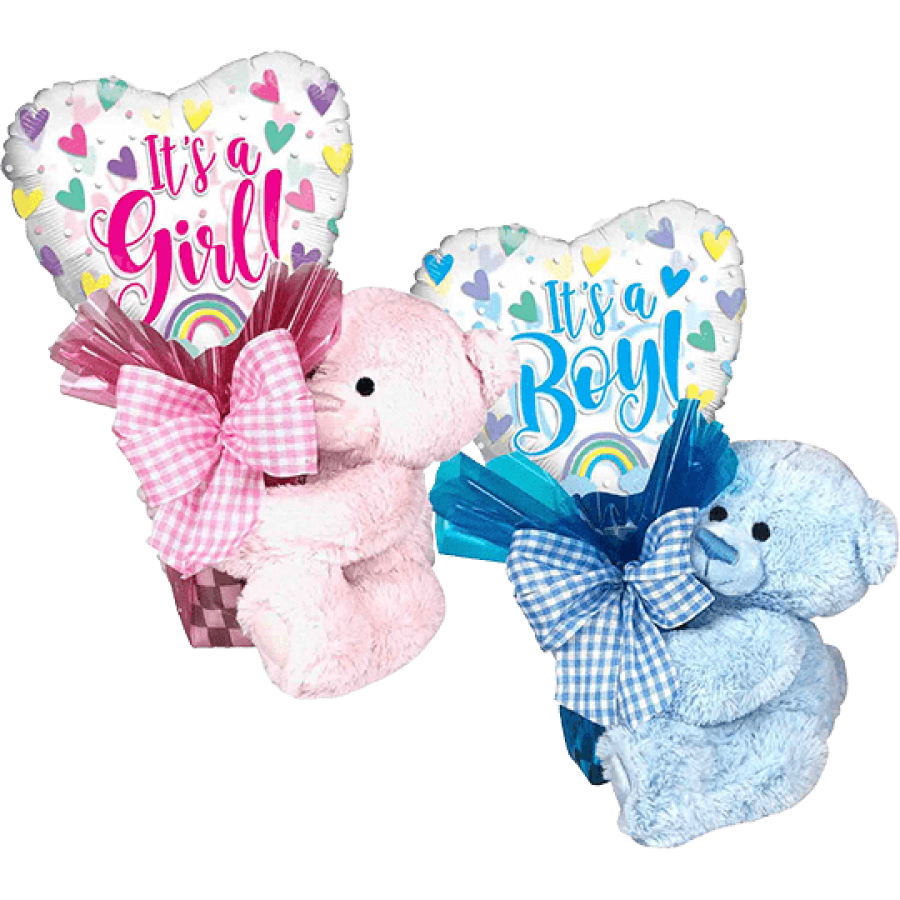 Mix and Match Bear Huggers Baby