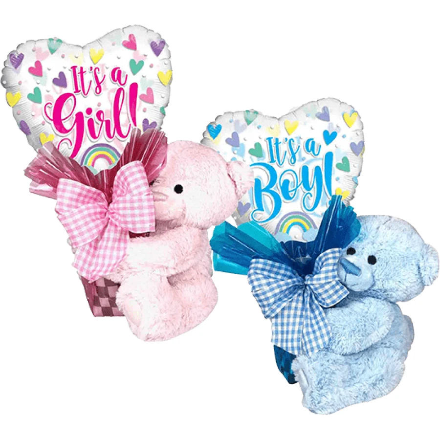Mix and Match Bear Huggers Baby
